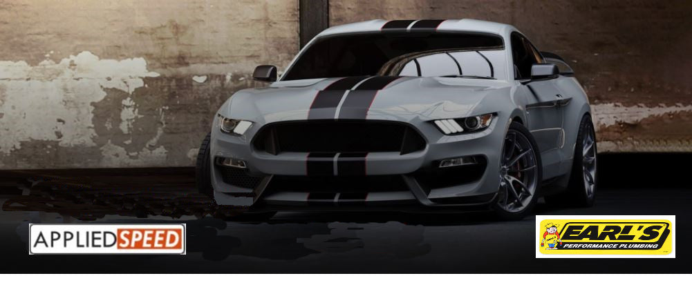 hero picture mustang earl's